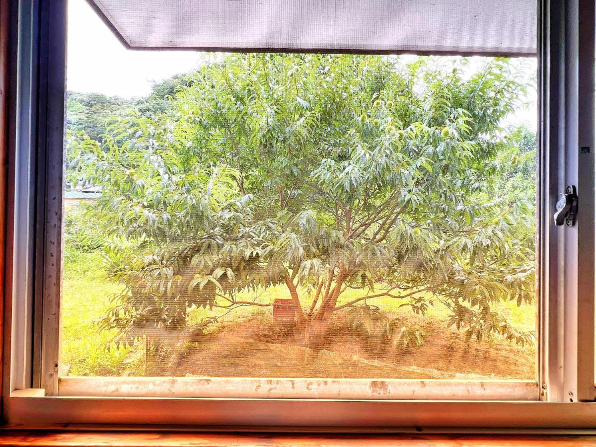 Iriyama-So Hotel Shimoda  Eksteriør billede